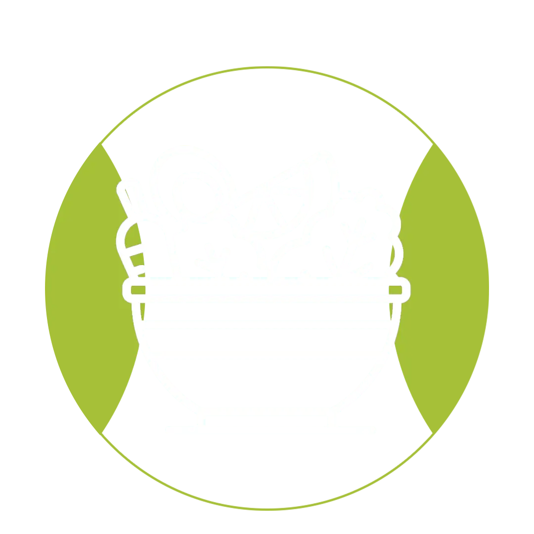 غدای پیشنهادی